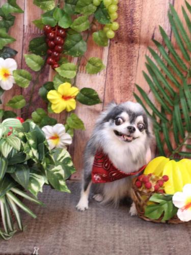 20230819クオンくん